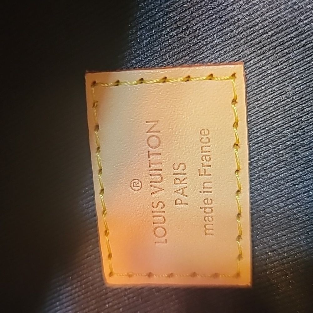 LV Original Bumbag - Picture 9 of 12